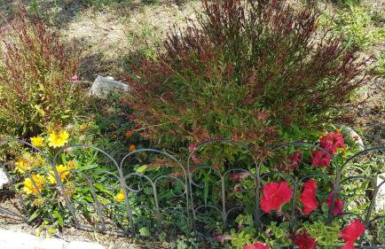 Holiday Home Subasic - Photo 7