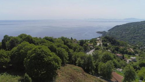 The 4Diamonds - Foto 5