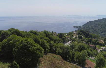 The 4Diamonds - Foto 5