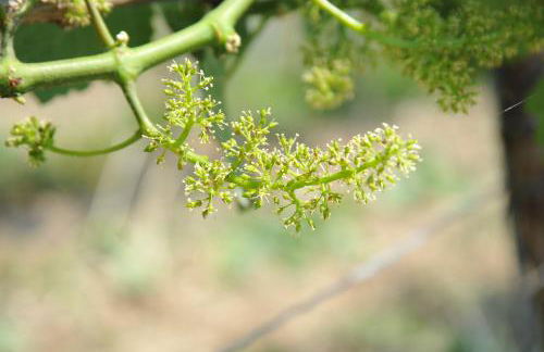 Ferienwohnungen TonArt - modern & stilvoll im Weinort Sommerach - Foto 32
