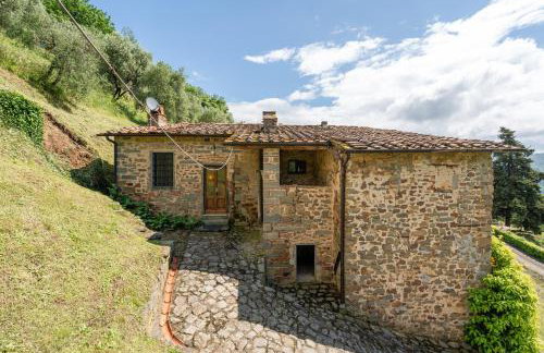 Fattoria di Pietrabuona - Foto 11