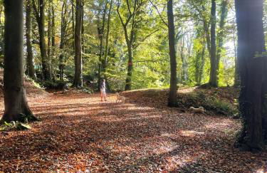 The Olive Tree - Peaceful and tranquil gem in Box - Foto 11