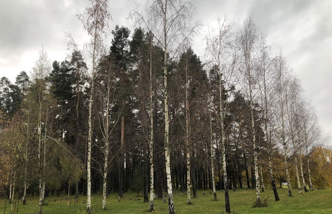 4 Star Holiday Home in Enskede-by Traum - Foto 15