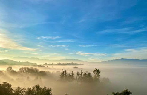 Donna Vittori - Borgo Agricolo - Foto 60