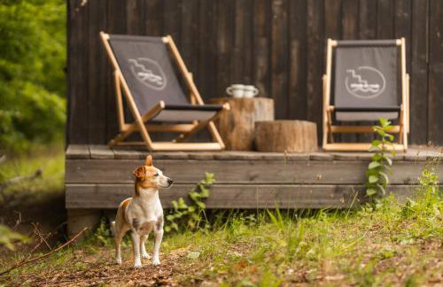 Schody do wody Domek z linią brzegową Kaszuby sauna goraca balia - Foto 32