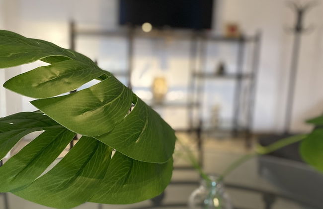 TIERRA ALOJAMIENTOS - Foto 38