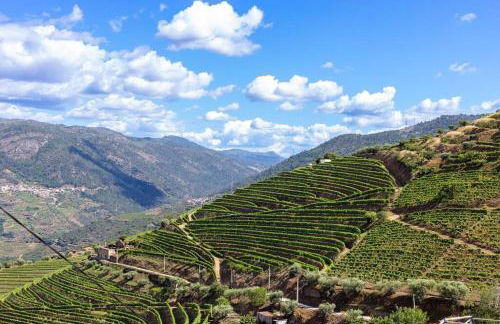 Casa da Quelha - Foto 28