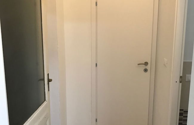 Mono Bordeaux - Foto 2