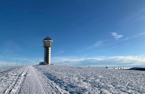 Ferienwohnung Traumwerk Titisee - Foto 29