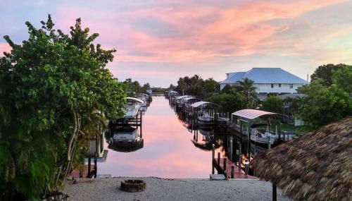 Blue Heron fish, boat, wine, dine, relax, repeat - Foto 2