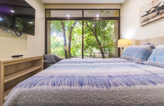 Rancho Haas - Photo 18