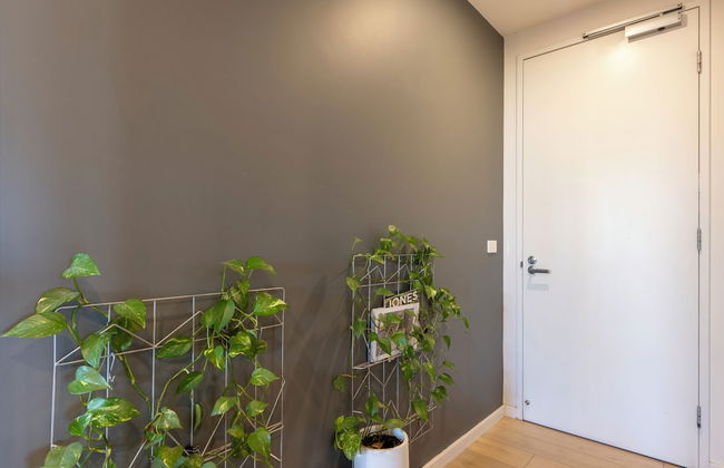 Mega Style Apartments The General - Photo 1