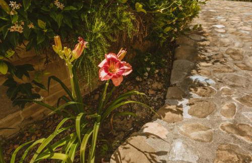 La Collina - Foto 10