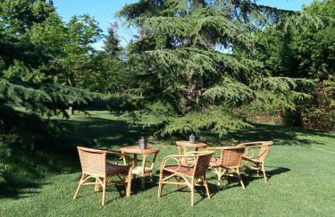 Villa Poggio al Sole Bio Agriturismo private pool - Foto 11