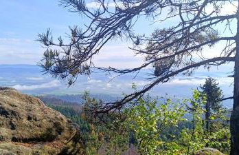 APARTAMENTY z GÓRSKIM KLIMATEM - Foto 63