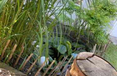 Schrammi's Ferienwohnung - Foto 20