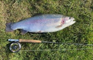 The Boathouse - Foto 17