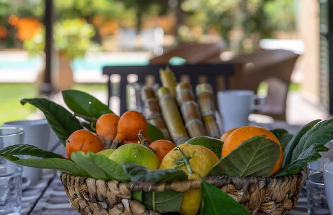 Giardino di Limoni Eco Friendly Villa - Foto 8