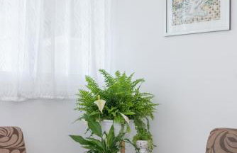Apartment ASTI - Foto 9