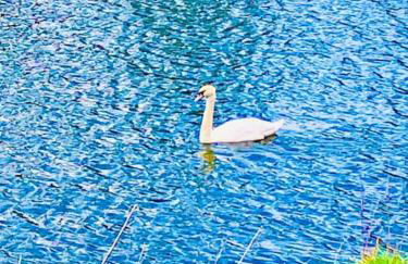 The Orchard Apartment, Clyde Valley - Foto 69