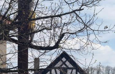 Ferienwohnung komham - Foto 8