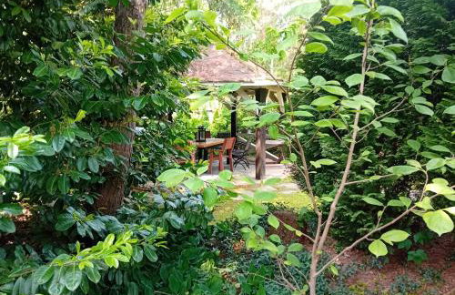 Black & White - Honey - Photo 10