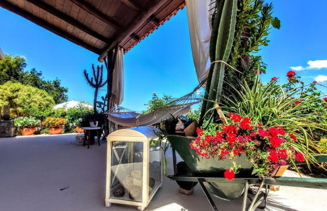 Thymes Traditional House - Foto 22