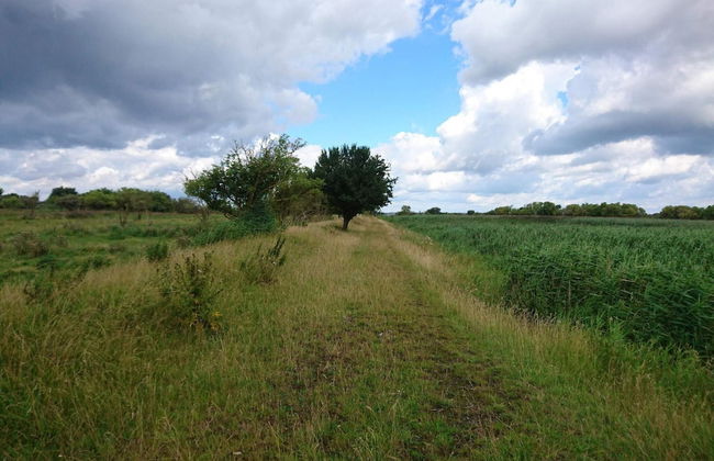 7 Person Holiday Home in Stege-by Traum - Foto 4