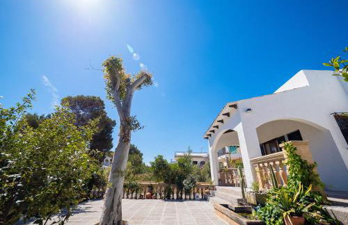 Son Serra II - Foto 2