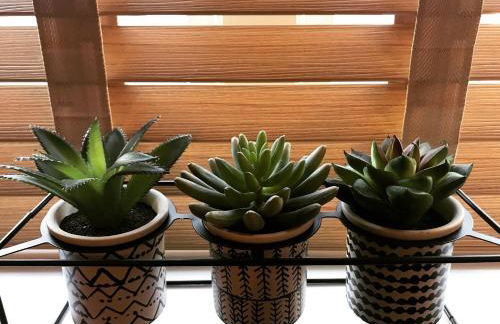 Clarabel's Guest House- The Nook - Foto 6