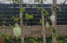 Kotlina Kłodzka Pod Brzozami - Foto 57