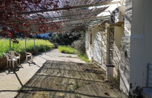 Beachfront House Villa 35min from Athens - Foto 4