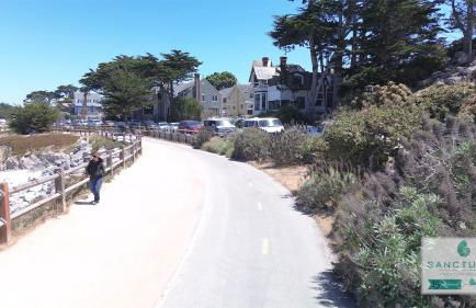 3946 Listen to the Waves townhouse - Foto 35