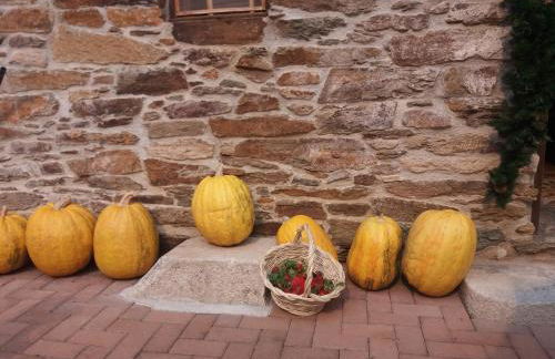 Casa de Campo dos Távoras - Foto 77