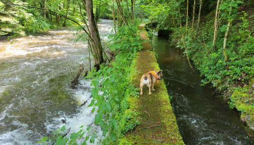 Chambre Familiale - Foto 3