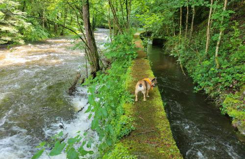 Chambre Familiale - Foto 3