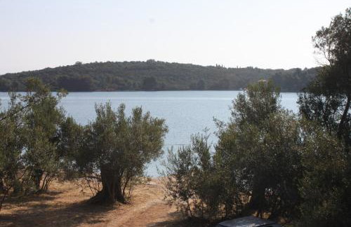 Apartments by the sea Luka - Dugi otok - 8151 - Photo 43