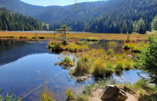 Apartment Landhaus Wildfeuer by Interhome - Foto 45