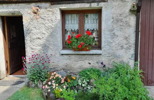 Soggiorno Vacanze Stella Alpina - Foto 13