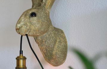 Le terrier du Green appartement - Foto 24