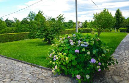 Apartment Andrea - Foto 28