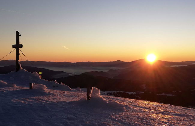 Cosy Studio With Terrace - Photo 42