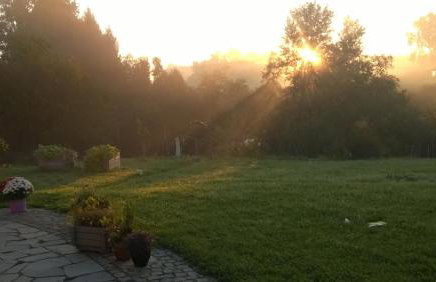 Allgäu Ferienhof Schönberger - Photo 31