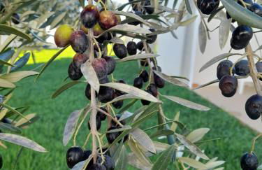 Casa do Roxo - Eco Design Country House - Foto 65