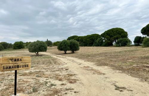 Casa Lamaghjone - Villa T4 avec piscine chauffée à 3,5km de la mer - Foto 40