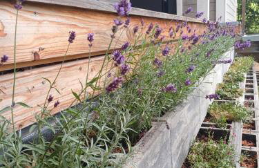 Domek nad stawem - Foto 56