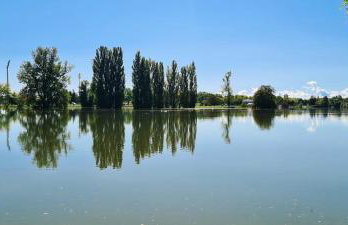 Happy Sparrow - Foto 55