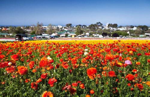 Luxury Ocean Views & Steps To The Sand - Tower 36 Upper Condo Unit - Photo 6