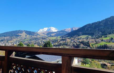 2 spacieux appartements dans une ferme rénovée face au MontBlanc - Foto 19