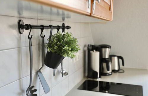 FeWo Hiddensee Mecklenburg Pool Alte Schule Barlin - Foto 17